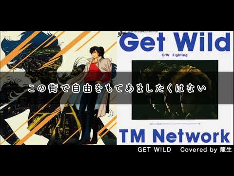 「GET WILD」 TM NETWORK　coverd by 龍生