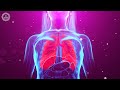 Clear Your Lungs From Toxins | Remove Mucus &amp; Phlegm | Improve Your Lung Capacity | 741 Hz Detox