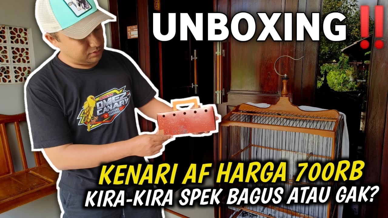 UNBOXING‼️DAPET KENARI AF MURAH LAGI SPEK COCOK BISA NIH BUAT LOMBA