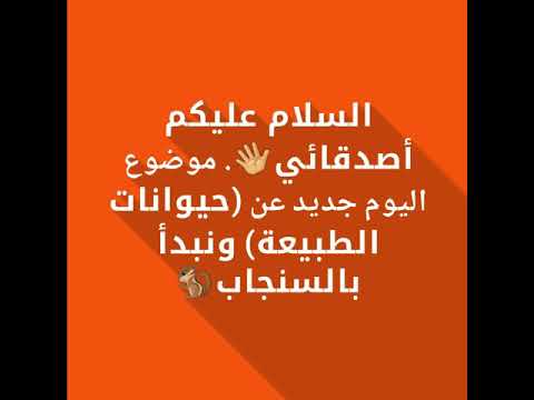 معلومات عن السنجاب حيوانات الطبيعة