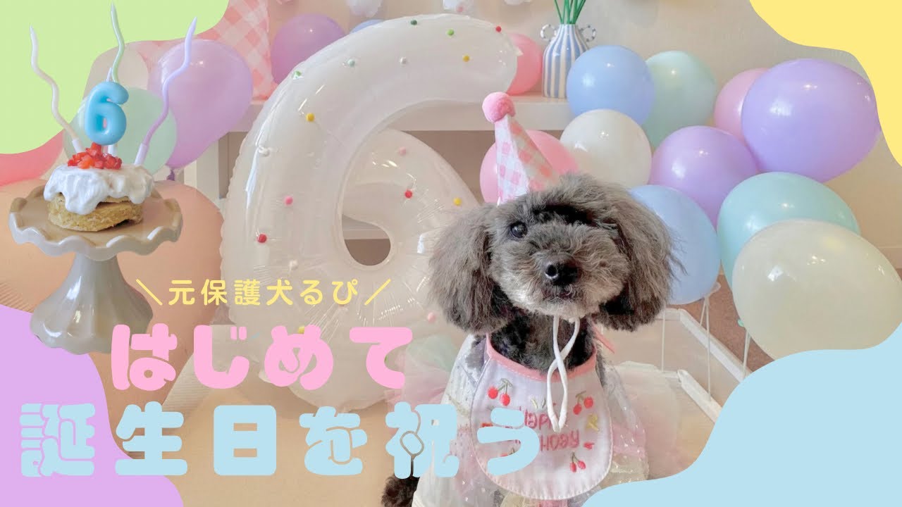 初めての誕生日！6歳になりました！