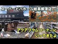 ［金魚］スーパービバホーム岐阜柳津店のアクアリウムコーナーにいってきたよ♪