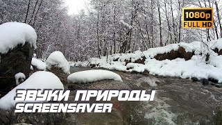 Живая природа - Река | Звуки природы | Звуки реки | Шум воды | Релаксация | Антистресс | Заставка ТВ