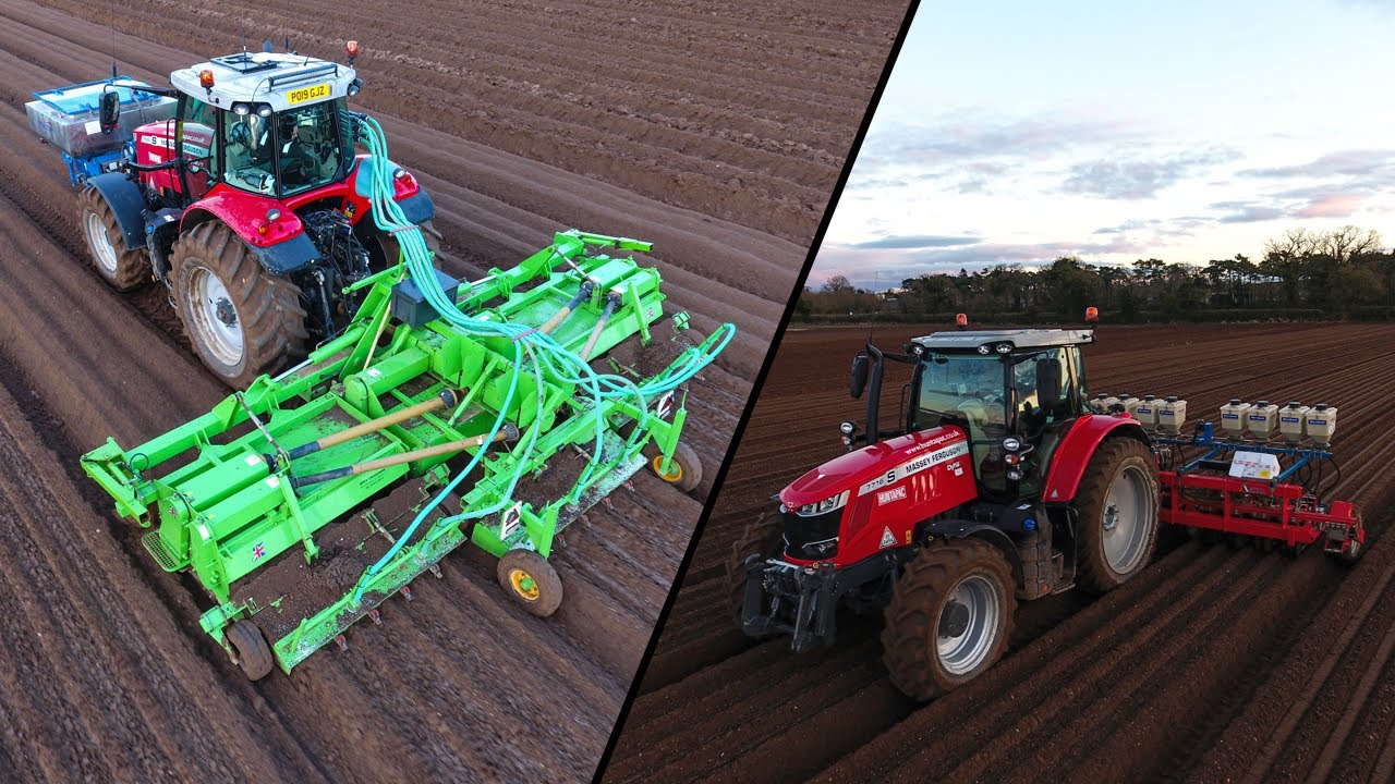 Two Massey Fergusons Bedforming and Drilling Carrots