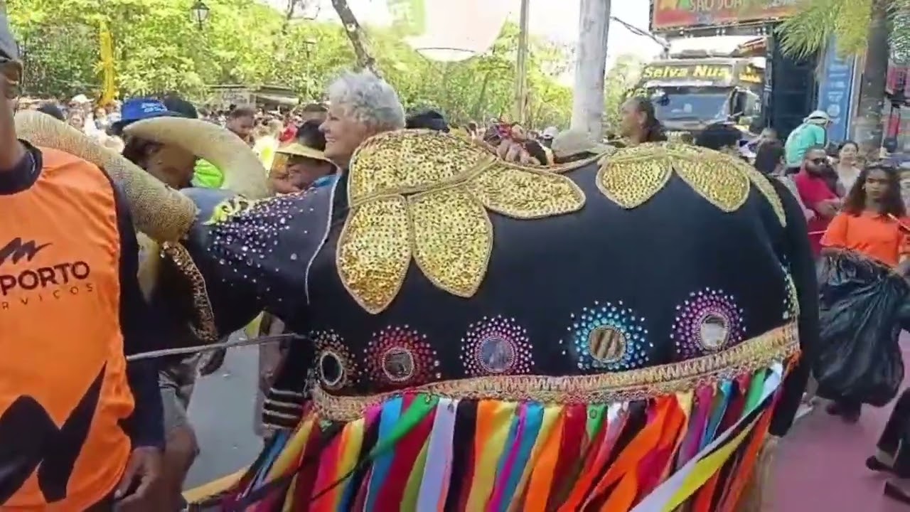 Boi Arco de Ouro  DRILHA - SAO JOAO GOMES 2026 FUNDARPE