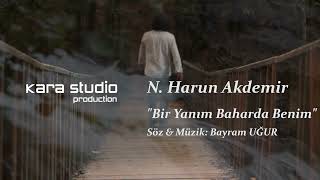 N. Harun Akdemir -  Bir Yanım Baharda Benim Resimi