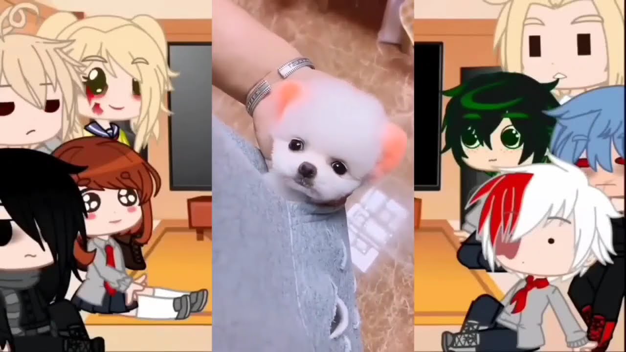 MHA/BNHA Character React to Deku's Pets +more/Viral/Funny Trending Tiktok/Gacha Club/All Part