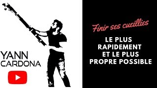 Finir Ses Cueilies Le Plus Propre Et Le Plus Rapidement Possible Finir Ses Cueilies Le Plus Propre Et Le Plus Rapidement Possible