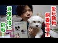 犬が好きすぎて愛玩動物飼養管理士を取ろうとしたら教材が文字だらけで詰んだ