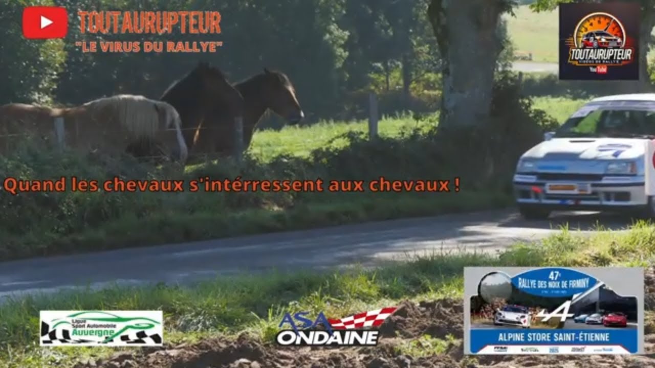 Noix de Firminy 2025