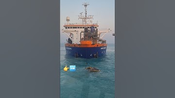BALL JOINT OF HOPPER DREDGER👉💪 #trending #ship #vessel #offshorevessel #tugboat #offshoreindustry