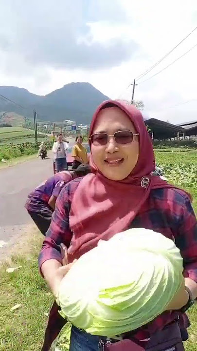 Tobrut🤣 masyaallah  🥬 #dieng #wisata #fy #fypage #jowopride #dienghits #fyp #fypシ゚viral #fypyoutube