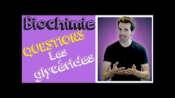 Où se fait la synthèse des triglycérides ?