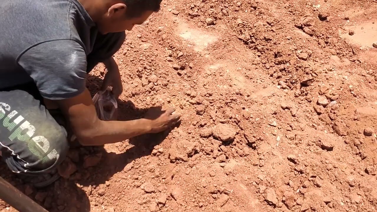 طريقة أخذ عينات التربة