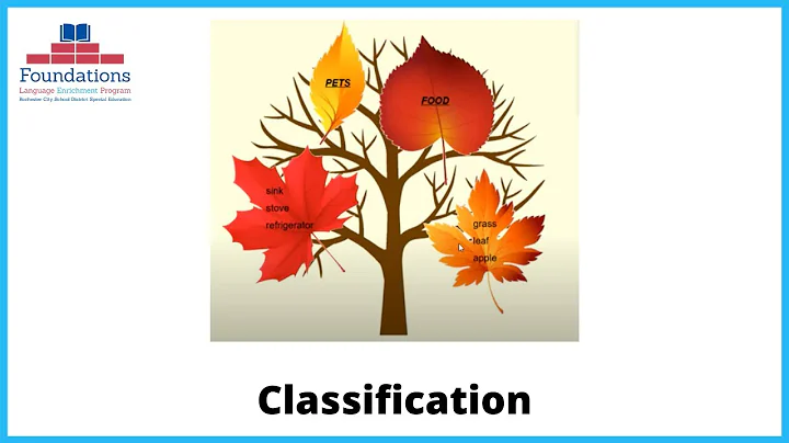 Classification