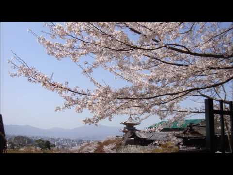 「木更津甚句」 千葉県民謡 cover 清紅 YouTube