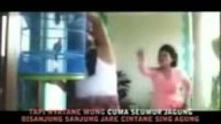 YouTube   tarling banjar petung  nunung alvi