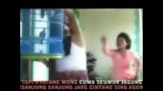 YouTube   tarling banjar petung  nunung alvi