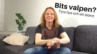 Min valp bits – är den aggressiv?