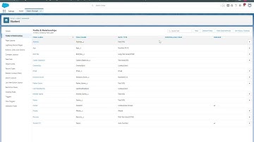 What is Text area rich data type in Salesforce