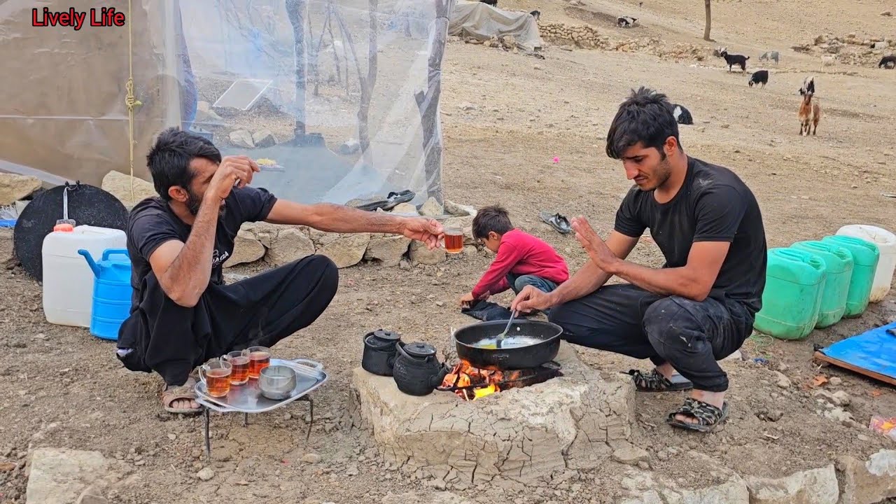 Daily life of nomads in the mountains