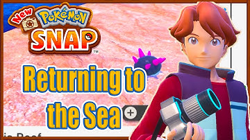Returning to the Sea Request Guide New Pokemon Snap