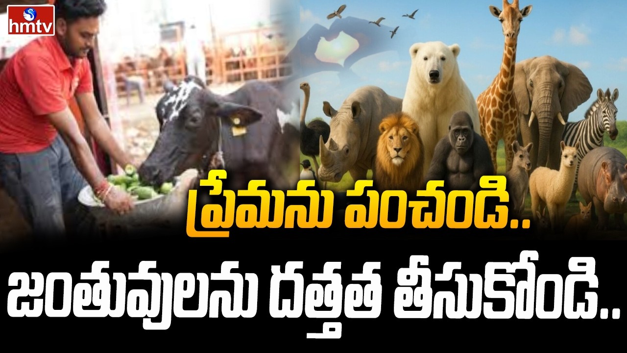 ప్రేమను పంచండి..జంతువులను దత్తత తీసుకోండి.. | Animal Adoption Program at Nehru Zoo | hmtv