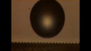Water Droplet Bouncing on a Superhydrophobic Surface