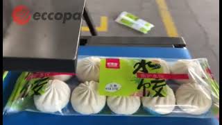 ECCOPAC ARES W SERIES AUTOMATIC HORIZONTAL PACKING MACHINE BOX MOTION