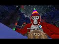Playing Gorilla tag!