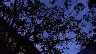 Arablr - Throb Official Audio