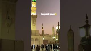 Rüya Değildi, Yaşandı