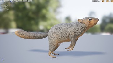 Medhue Squirrel for sale in Unreal Engine!