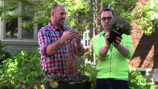 How To Make A Beautiful Fall Planter