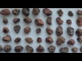 Tulsa & Coweta Meteorites