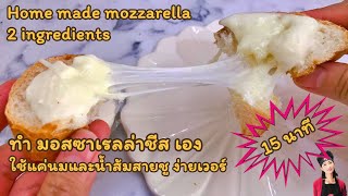 ทำเองได้ง่ายๆ 15 นาทีเสร็จ สูตรมอสซาเรล่าชีส ยืดๆเยิ้มๆ โฮมเมดจ้า Home made mozzarella 2 ingredients