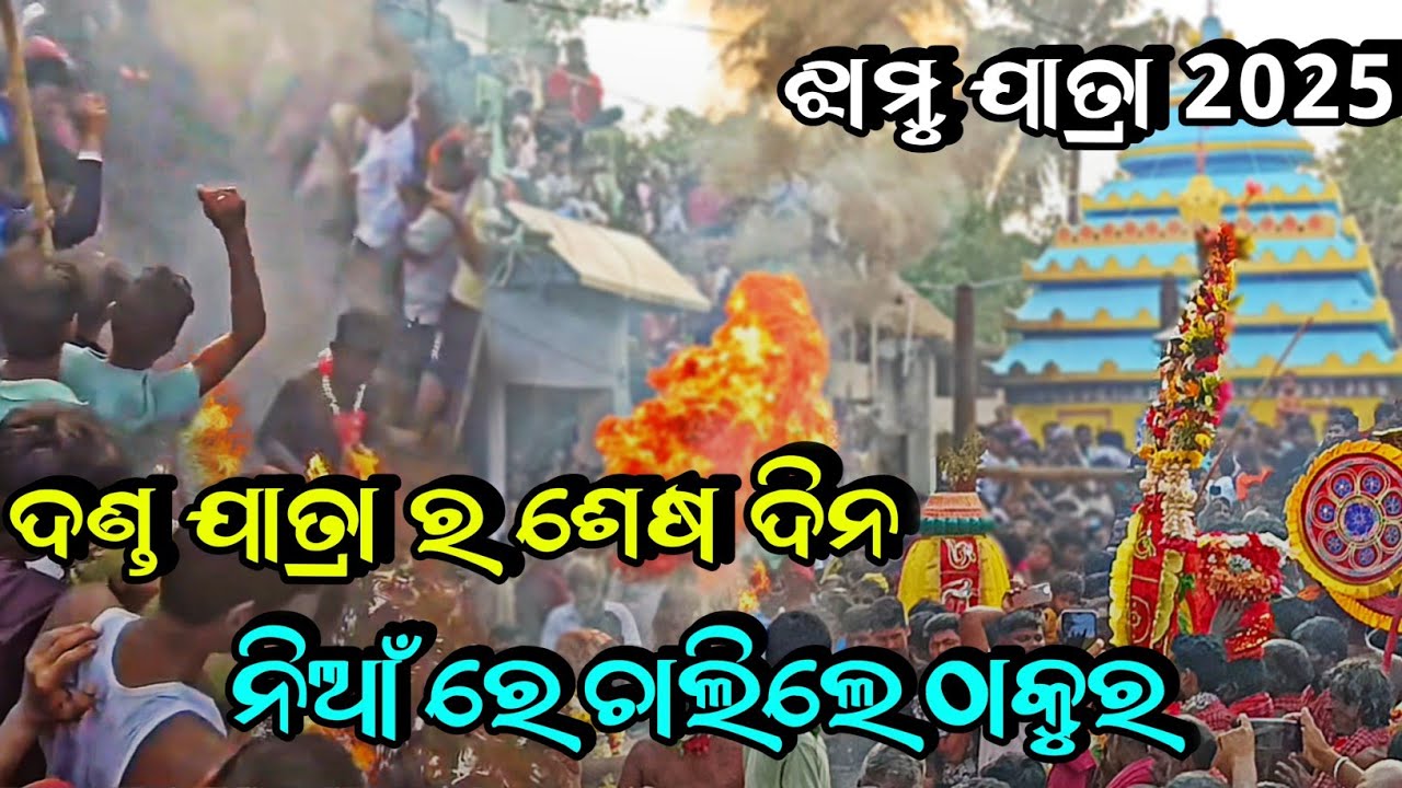 ଝାମୁ ଚଲା 2025 || ମଙ୍ଗଳାଯୋଡ଼ି || 