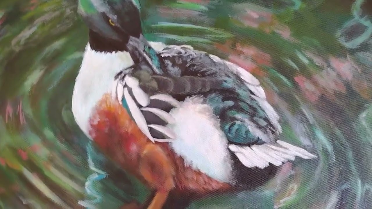 Northern Shoveler Duck Painting | Kira Quinn Art