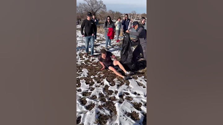 Man Risks Life to Save Dog in Icy Lake—Strangers' Response Is Unbelievable