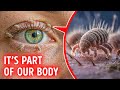 How Strange the Human Body Really Is