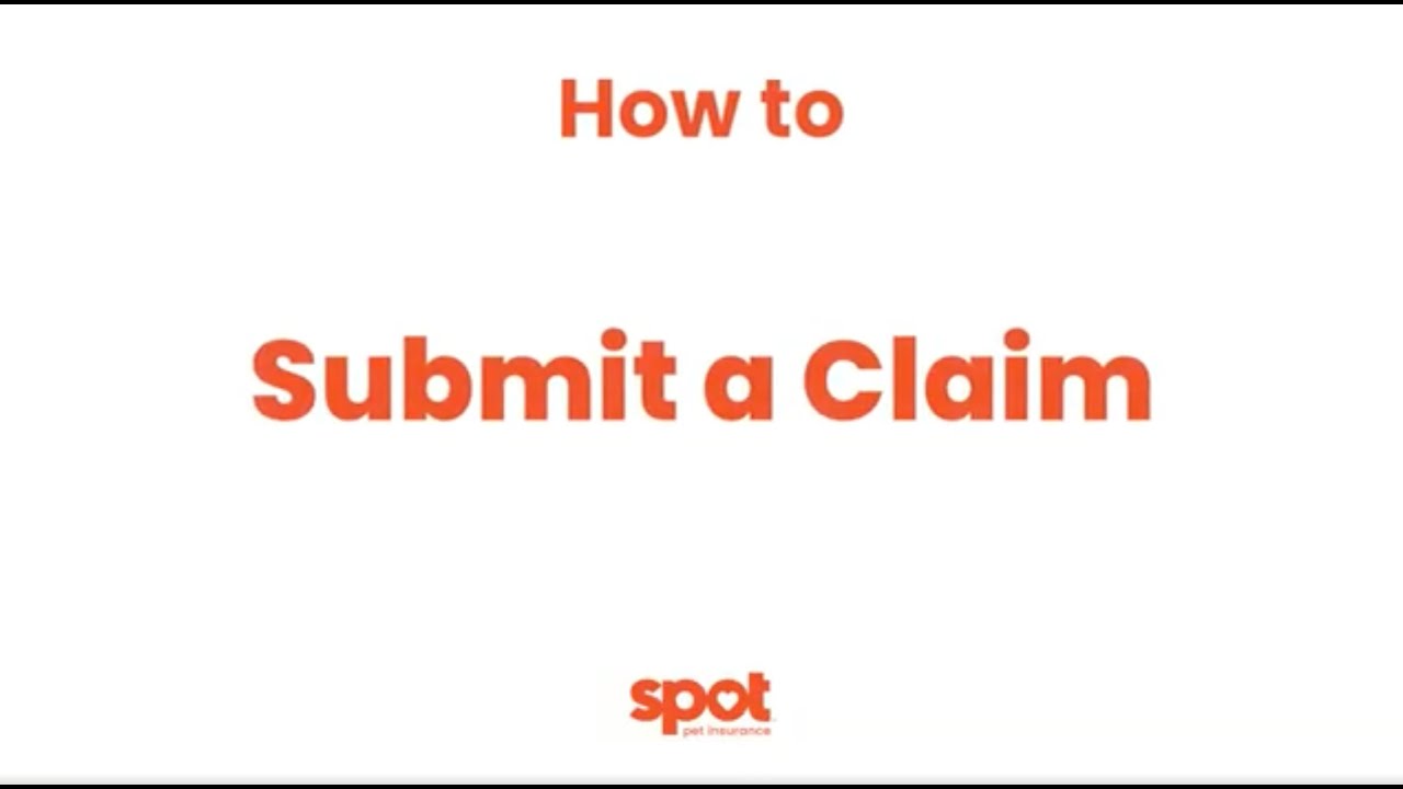 How to Submit a Pet Insurance Claim with Spot Pet Insurance | Step-by ...