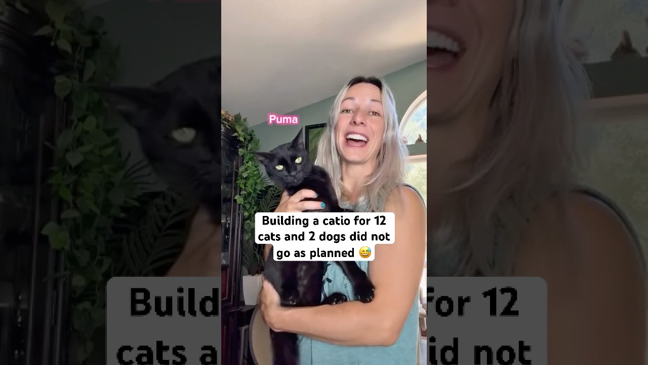 Weekend Project? Yeah, Right! 😹 