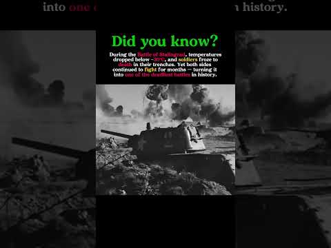 Frozen Hell: The Battle of Stalingrad’s Deadly Winter #ww2