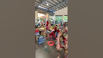 Từ đồng ruộng tới chợ nó xa ak #fyp #foodie