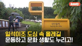 제주 원도심 ‘성안올레’ 걸으며 가을 어귀로…축제도 풍성 / KBS  2023.09.16.