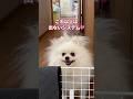 これ以上は出ないシステム①