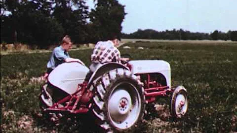 American Farmer (1954) - DayDayNews