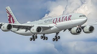 ✈️ VERY CLOSE UP Aircraft TAKEOFFS and LANDINGS | Cologne Bonn Airport Plane Spotting [CGN/EDDK] by HD Melbourne Aviation 116,924 views 1 month ago 1 hour, 17 minutes