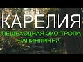 Карелия пешеходная эко-тропа Лапинлинна в Ладожских шхерах