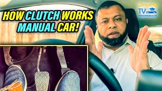 HOW CLUTCH WORKS IN A MANUAL TRANSMISSION | Get To Know How Does The Clutch In A Car Work!